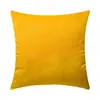 Funda de Almohada de Terciopelo de Color Sólido Más Vendida en Amazon Transfronteriza Funda de Cojín para Sofá de Casa Funda de Almohada para Cabecera Venta al por Mayor de Fábrica