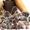 Decorações de Pinha Branca de Natal, Artigos para Festa, Enfeites Pendentes, Materiais para DIY de Guirlanda de Natal, Venda Direta da Fábrica