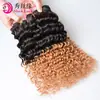 Extensiones de Cabello Europeas y Americanas Transfronterizas con Color Degradado T1B/27 Onda Profunda Cabello Humano Virgen Tejido