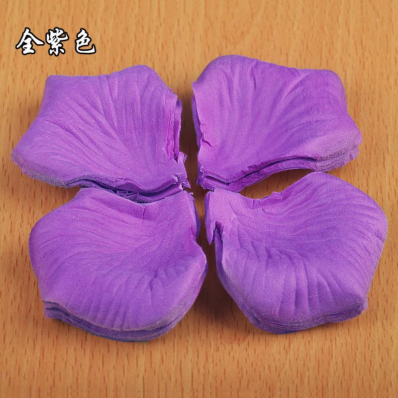 2813514109_1354842517