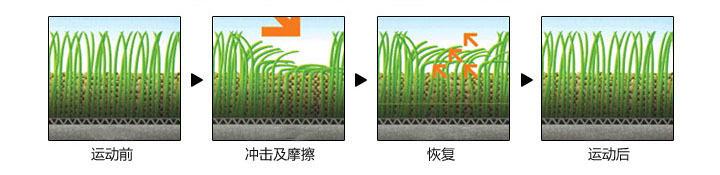草-运动模拟