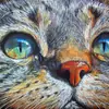Serie de animales nuevos transfronteriza pintura de diamantes 5d diy diamante completo pintura decorativa venta al por mayor gran cantidad y excelente suministro de comercio exterior