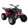 Exportar "Promoção Especial 6500 Yuan" ATV Todo-o-Terreno de 200cc com Transmissão Continuamente Variável Moto de Cross Atv Kart
