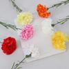 Clavel Artificial de Tallo Único Regalo del Día de la Madre Flor Conservada Clavel Comercio Exterior Flor Artificial al por Mayor