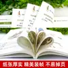 Dibujos Animados Huangdi Neijing alimentos saludables de temporada tónico dietoterapia introducción para entender la cultura de la medicina china libros de iluminación de un vistazo