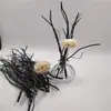 Accesorios de Aromaterapia sin Fuego Aceite Esencial de Sauce Negro Combinación Difusora Decoración