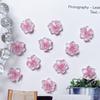 Nuevos accesorios para uñas de flor de cinco pétalos transparentes como hielo, populares en línea, estampado y teñido, accesorios para uñas de flor de durazno de tres vidas, parche para uñas