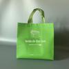 Bolsas de tecido não tecido, sacolas ecológicas impressas em cores e prensadas a quente, sacolas de compras laminadas, sacolas para viagem, logotipo personalizado do fabricante impresso