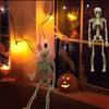 Juguete de terror de Amazon, esqueleto de Halloween, cuerpo completo, esqueleto móvil, barra, cámara, accesorios de estilismo