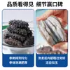 Fábrica de pepinos de marVenta al por mayor de pepinos de mar secos, Productos secos de pepino de Liao, Suministro directo del fabricante, Disponible para dropshipping, 50g Natural