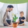 1 pieza - Juguetes de Cactus Bailarines y Parlantes Para Bebés Niños y Niñas, Cantando Imitando Grabando Repitiendo lo que Dices Cactus Soleado Up Plus