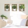 Tríptico de Planta Verde en Maceta Dormitorio Sala de Estar Entrada Decoración del Hogar Adhesivo de Pared Adhesivo Autoadhesivo Venta al por Mayor Hy-F441