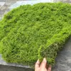 Musgo Blanco Simulado, Musgo Filamentoso, Vegetación de Césped, Musgo de Lana Simulada, Arreglo de Paisaje con Musgo Verde, Bonsái de Césped, Plantas en Maceta