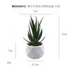 En stock Simulación Carnosa Garra de Águila Aloe Planta en Maceta Decoración de Escritorio Regalo Mini Planta Verde Bonsái TEMU Planta de Simulación