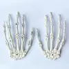Decoración de Halloween Mano Fantasma Accesorios de Terror Esqueleto Colgante de Esqueleto Adornos Garras de Juguete de Plástico Venta al por Mayor