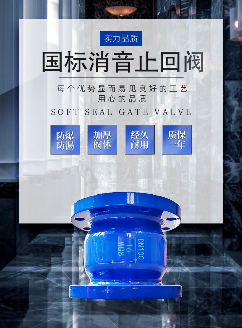 国标焊接消音止回阀 (1).jpg