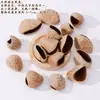 Kit de Materiales para Muñeca de Vaina de Frijol Accesorios Hechos a Mano DIY Colgante para Llavero Encanto para Bolso Campana de Viento de Cáscara de Fruta Natural Materias Primas al Por Mayor