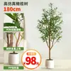 Planta Verde Artificial Más Vendida Transfronteriza, Olivo en Maceta, Decoración Desmontable para Ventana Interior, Adorno de Planta Artificial en Maceta