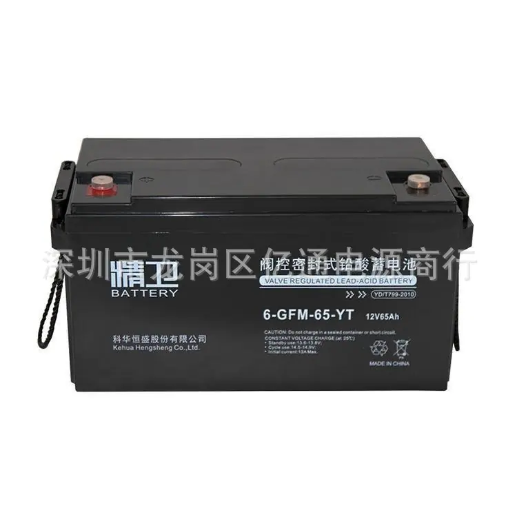 精卫12V65AH.jpg