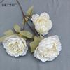 Flores de boda blancas y verdes para flores de boda estilo Mori estilo pastoral flores falsas verdes y blancas flores de techo flores Rai