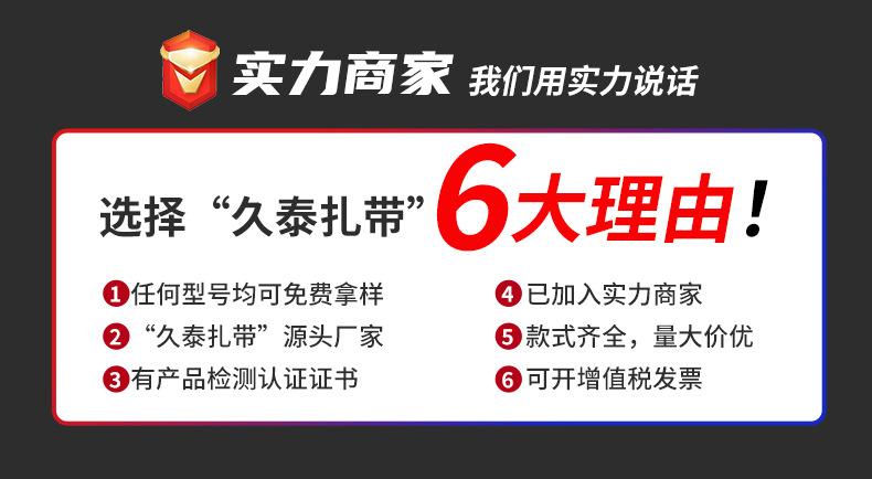 标牌式尼龙扎带_01.jpg