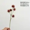Bola de imitación de pelo seco con Yang, bola de espina de simulación, material de combinación para arreglo floral de fruto de ricino dorado, decoración floral de otoño
