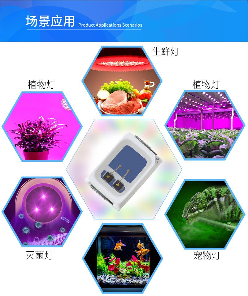2016详情B-04