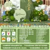 Montagem de Decoração para Baile de Formatura, Cena Dourada de Sucesso nos Exames, Atmosfera de Vestibular, Fundo do Local, Placa de KT