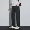 Pantalones Cargo de Bolsillos Múltiples para Hombre, Primavera y Verano, Versátiles, Holgados, Rectos, Casuales, Antiarrugas, Modernos, de Pierna Ancha
