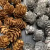 30 Pinhas, Pinhas Bonitas, Decoração de Jardim de Infância, Joias Criativas Feitas à Mão, Pintura de Pinhas, Torre de Pinhas DIY Pinha