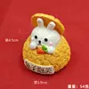 Lágrimas Surpresa do Tiktok Exclusivamente para Lanches de Simulação de Desenho Animado, Receitas de Resina, Ímãs de Geladeira, Artesanato de Resina de Alto Valor