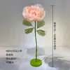 Adereços de casamento Baijie guia de estrada flor mecânica elétrica abertura e fechamento tela de arame simulação flor layout cena decoração janela