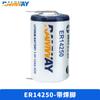 Ramway Ruiyi Er14250 Delta Programador Etcplc Equipo de Control Industrial Batería de Litio de 3.6V Carga