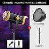 Luz de Relleno de Alta Potencia 300W para Transmisión en Vivo Especializada para Fotografía y Sesiones de Fotos, Luz Suave para Streamers, Iluminación de Belleza Luz LED