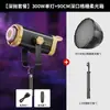 Luz de Preenchimento para Transmissão ao Vivo de 300W, Luz para Fotografia para Montagem de Sala de Transmissão ao Vivo, Refletor Esférico com Grade Constante, Lâmpada Solar de Alto Brilho
