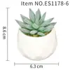 Suculenta Planta Taça de Diamante Bonsai Decoração Casa Escritório Es1178-4 Paisagem em Microfibra Aveludada Mini Alta Simulação