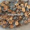1000g de Minhocas, Medicina Chinesa Huamei, Fornecimento Atacadista de Materiais Medicinais Chineses, Minhocas Uniformes, Tratamento Preferencial para Grandes Quantidades