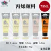 Set de Pintura Acrílica Personalizado de 75 ml, Impermeable y que no se decolora, Adecuado para Pintura DIY en Estudio, Se puede imprimir con logotipo
