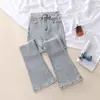 Jeans Feminino de Cor Clara com Forro Alto, Primavera, Cintura Alta, Slim Fit, Emagrecimento, Calça Flare, Tendência Ins