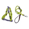 Conjunto de coleira e arreio de nylon bicolor para animais de estimação, direto da fábrica, com fivela de LED para passear com o cachorro