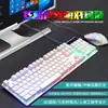 Teclado de Laptop con Sensación Mecánica de Escritura Transparente, 68 Teclas, Set de Ratón de Repuesto, Gaming, E-Sports, Cableado