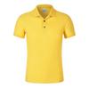 Camiseta de Algodón Puro con Cuello Camisero Ropa de Trabajo Corporativa Camisa Publicitaria de Manga Corta para Eventos con Logotipo Impreso Camisa Cultural Elegante Camisa Polo Bordado