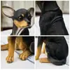 Modelo de cachorro Chihuahua molde de cachorro de estimação adereço de fotografia roupas de cachorro ornamento de chão cachorro veado filhote de cachorro adereço