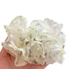 Pinza de Plátano de Malla Plisada Nube Floral Suave Estilo Coreano para Mujeres Clip para el Cabello de la Parte Posterior de la Cabeza Cola de Caballo Recogido Accesorio Elegante para el Cabello