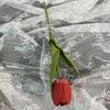 Tulipán flor artificial boda flor falsa decoración hecha a mano PU flor artificial suave accesorios de tiro comercio exterior transfronterizo al por mayor