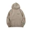 Suéter transfronterizo de otoño e invierno para hombres y mujeres, chaqueta con capucha de manga larga con estampado de letras esenciales europeas y americanas