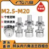 Juego de Tornillos de Cabeza Cilíndrica con Cabeza Hexagonal de Acero Inoxidable 304, Tuerca de Brida, Combinación de Tornillo con Arandela Plana y de Resorte M2.5/M20