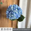 26 Años de Materiales Florales Azul Oscuro de Alta Calidad, Materiales de Flores de Seda para Escaparates, Paisajismo, Accesorios para Estudio de Fotografía, Flores Artificiales
