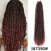Pelucas de Fibra Sintética Passiontwist Europeas y Americanas Cabello Crochet de Onda de Agua Rizo de Primavera en Stock