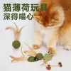 Brinquedo para gato bola de catnip com penas, fruta da vesícula biliar de gato, varinha de catnip de madeira, brinquedo para gato para autoentretenimento e alívio do tédio